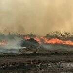 Incêndio destrói área de 12 mil hectares no Pantanal do Rio Negro em MS