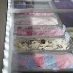 Com leite e açúcar mais caros, sorvete não escapa da inflação em Campo Grande