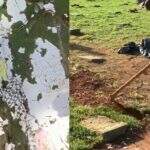 Fãs fazem rifa para colocar placa no túmulo de Marília Mendonça