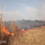 PMA e Bombeiros apagam incêndio que ameaçava áreas de florestas e barracões