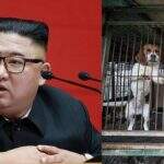 Ter cachorro de estimação está proibido na Coreia do Norte, diz jornal 