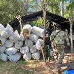 Com nova ofensiva em fazendas da fronteira, Paraguai intercepta 23 toneladas de maconha