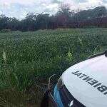 PMA e Polícia Civil de Cassilândia capturam foragido da justiça em propriedade rural