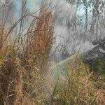 Bombeiros usam 6 mil litros de água para combater incêndio no Pantanal