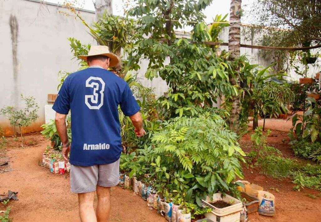 Plantio Nathalia Alcantara 14 - Apaixonado pelo campo, Arnaldo plantou mil árvores frutíferas em avenida de Campo Grande