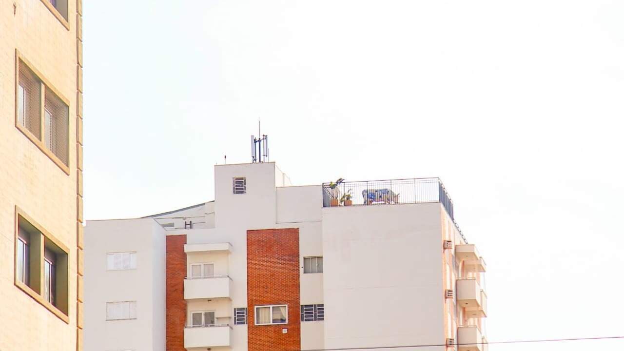 O que uma vaca está fazendo na cobertura de prédio em Campo Grande? Entenda