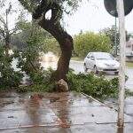Após estragos, alerta de tempestade continua para todas as cidades de Mato Grosso do Sul