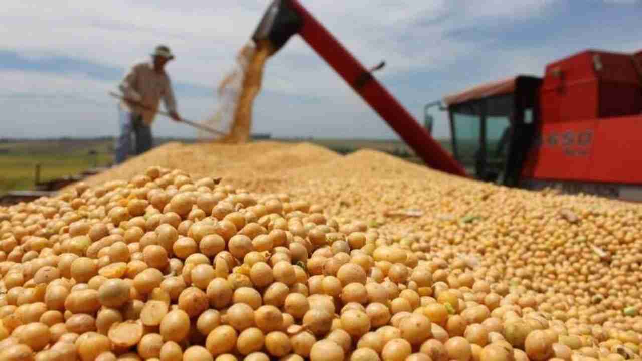Produção aumenta e setor agrícola de MS bate recorde de R$ 44,99 bilhões em arrecadação