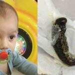 Bebê de sete meses morre após engolir lagarta no Espírito Santo