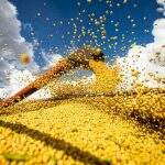 Mato Grosso do Sul deve chegar a produção recorde de 24 milhões de toneladas de grãos