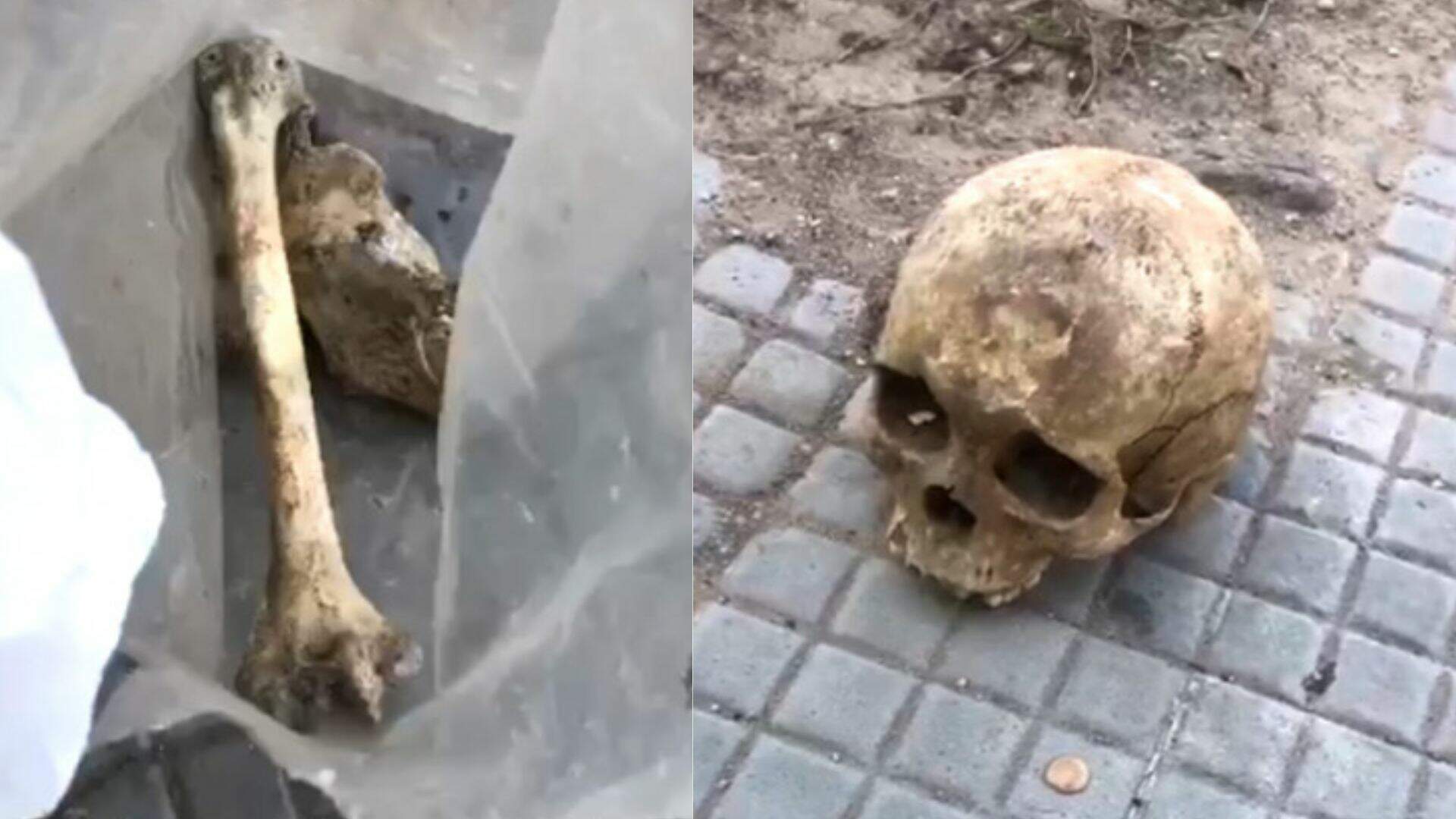 VÍDEO: Moradores encontram sacola com crânio e ossos humanos em imediações de obra