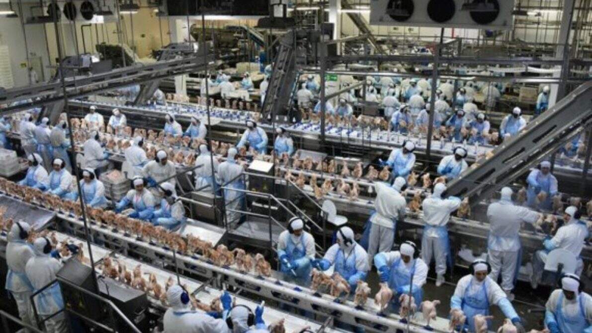 Indústria de Mato Grosso do Sul abriu 838 postos de trabalho em junho