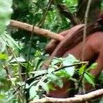 Último de sua etnia, ‘índio do buraco’ é encontrado morto em Rondônia