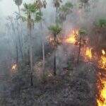 ONG ambiental de MS pede atenção da equipe de transição de Lula para incêndios no Pantanal