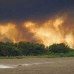 Com onda de calor e baixa umidade, 168 bombeiros atuam contra incêndios no Pantanal
