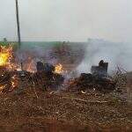 Fazendeiro é autuado por provocar incêndio em restos de vegetação