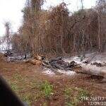 Arrendatário é multado em R$ 486 mil por incêndio em 84,5 hectares de vegetação