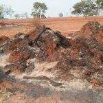 Proprietário rural é autuado por provocar incêndio em restos de vegetação