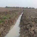 Proprietário rural é multado em R$ 10 mil por construção ilegal de drenos