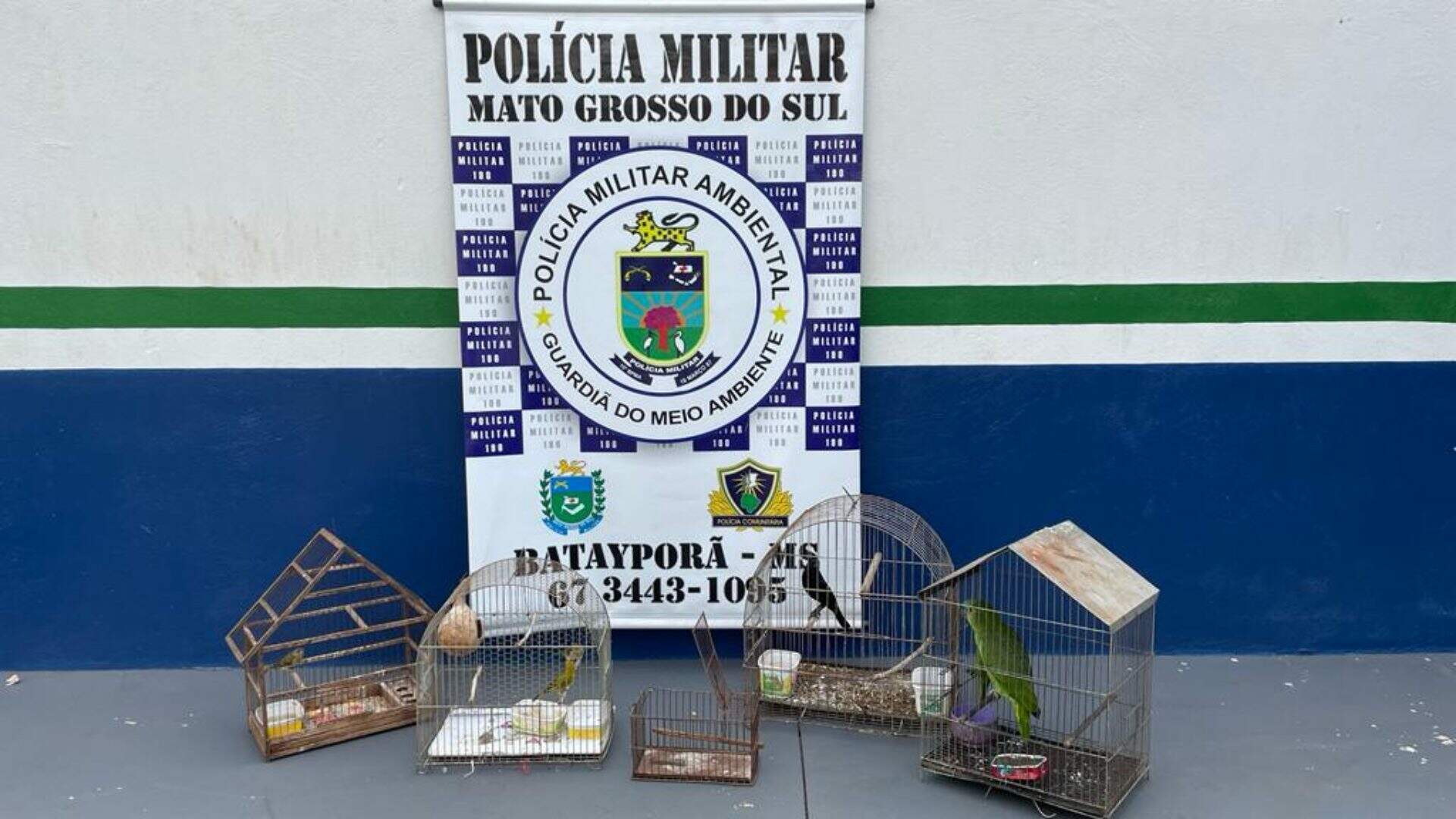 Polícia Ambiental apreende aves silvestres e multa infrator em R$ 12 mil