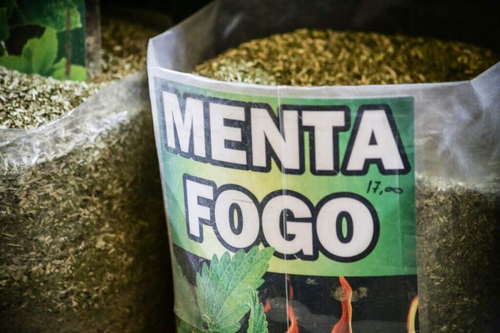 Erva de Terere Menta Mercadao Municipal Foto Henrique Arakaki - Calorão em Mato Grosso do Sul aumenta em até 20% a procura por erva de tereré no comércio