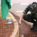 Além de blindados e sobrevoo, soldados pintam meio-fio no Dia da Independência