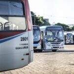 Projeto libera transporte de pets nos ônibus coletivos de Campo Grande