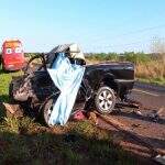 Motorista de caminhonete morre após colisão frontal com carreta bitrem na BR-376