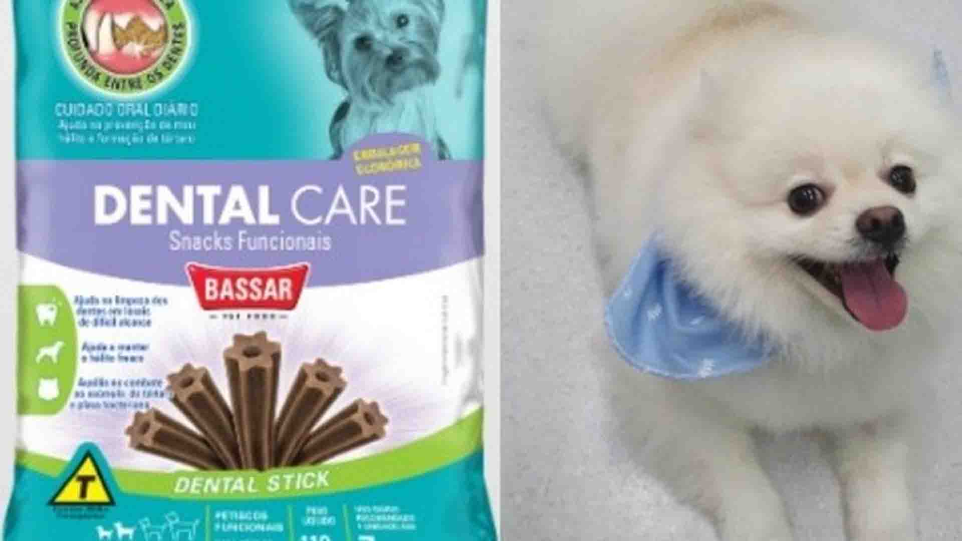 Intoxicação de cães: indústria diz que adquiriu ingrediente de uma importadora