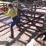 VÍDEO: Deolane sai correndo e vomita após vaca despejar quilos de fezes ao seu redor