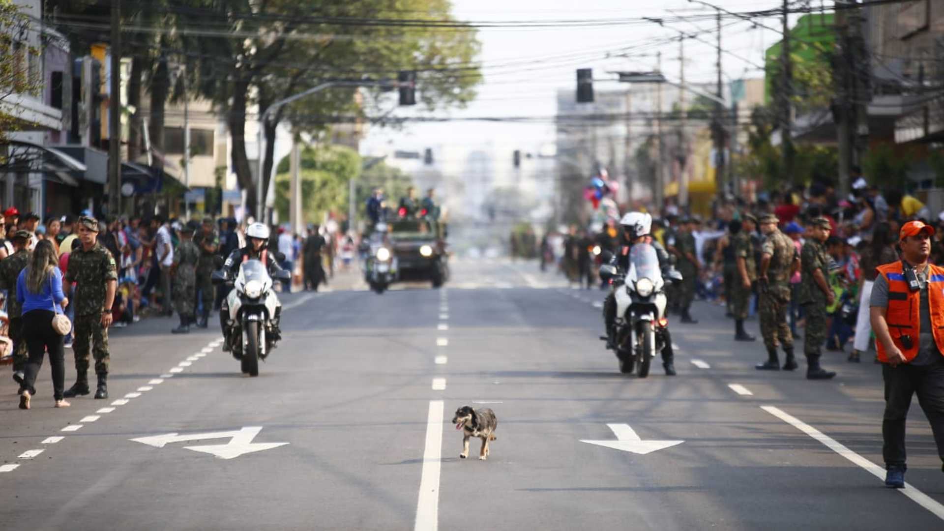 desfile