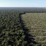 Brasil ultrapassará 137% da meta de emissões se desmatamento seguir ritmo atual