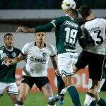 Com gol no fim, Botafogo quebra série invicta do Goiás e vence fora de casa