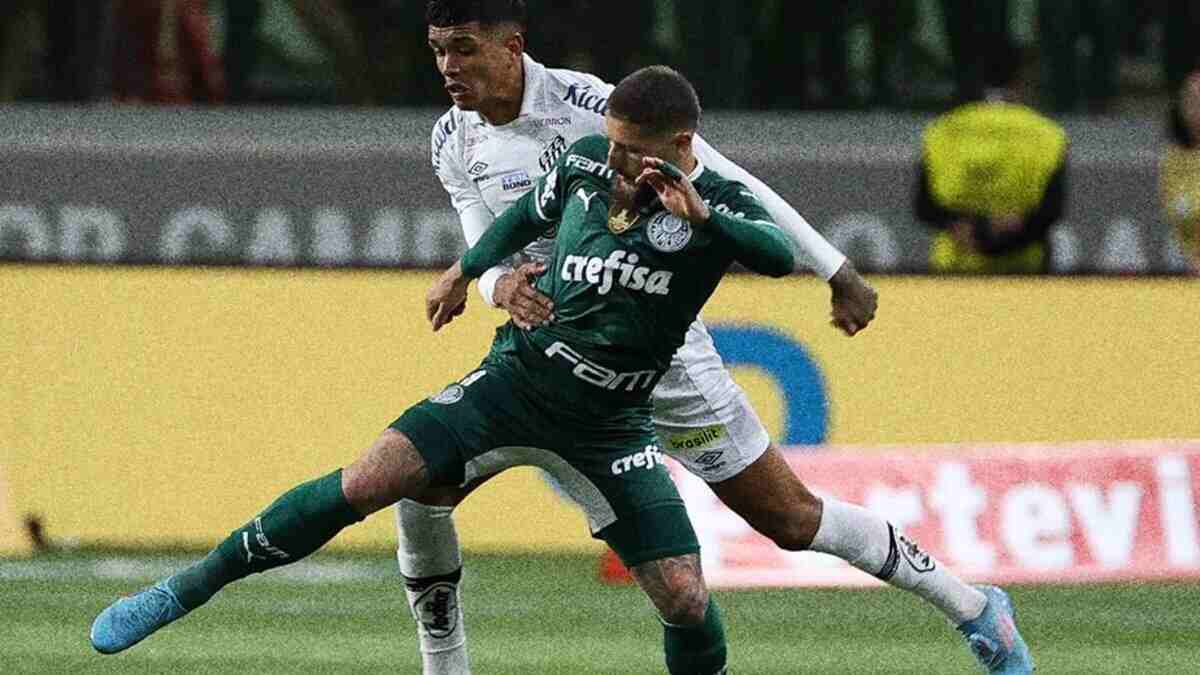 palmeiras santos