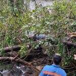 Sanesul alerta para racionamento de água após estrago em rede de abastecimento de Corumbá