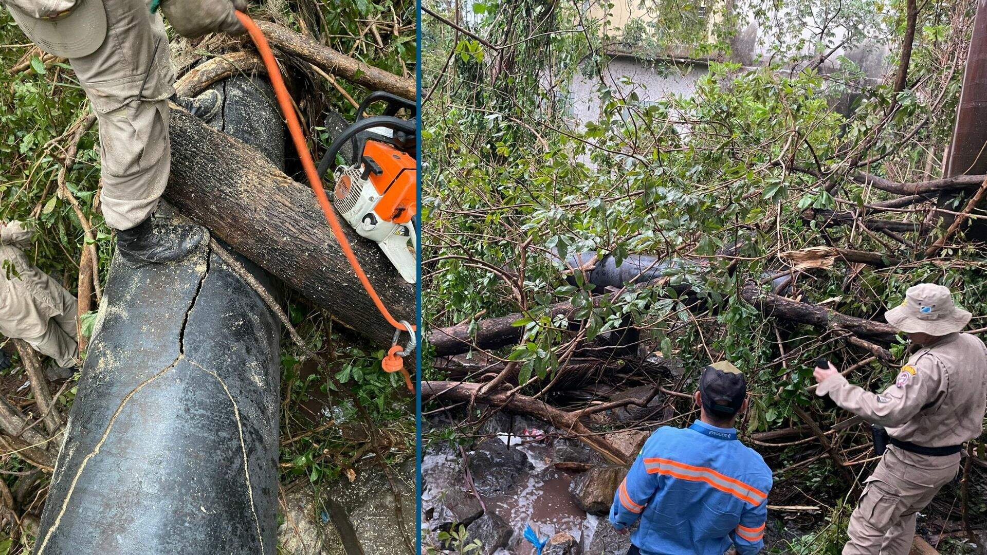 Árvore danifica tubulação e moradores de Corumbá podem ficar sem água