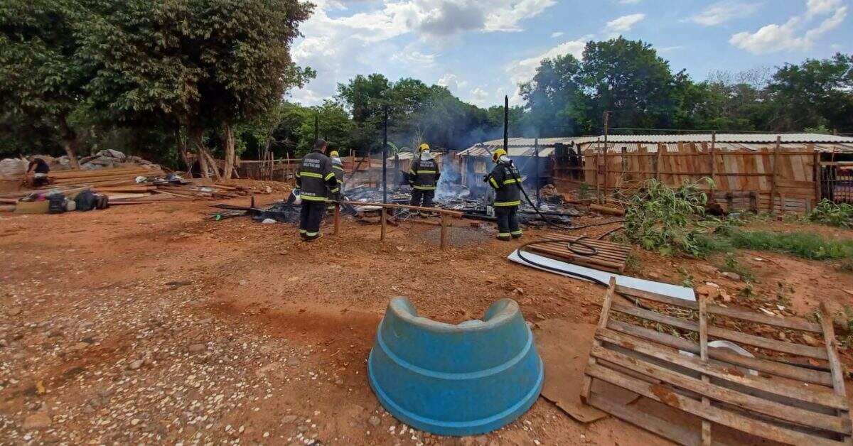 Cachorro morre queimado em incêndio que destruiu barraco no Jardim Monumento