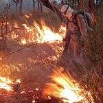 Agosto e setembro de 2022 tiveram menor índice de incêndios no Pantanal em 24 anos