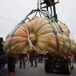 Abóbora mais pesada da América do Norte pesa mais de 1000 quilos 