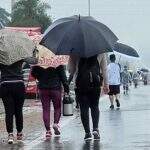 Com fé e com chuva: romeiros caminham mais de 30 quilômetros pela BR-163