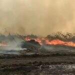 Período ‘desértico’ se aproxima e bombeiros de MS antecipam ações contra incêndios florestais
