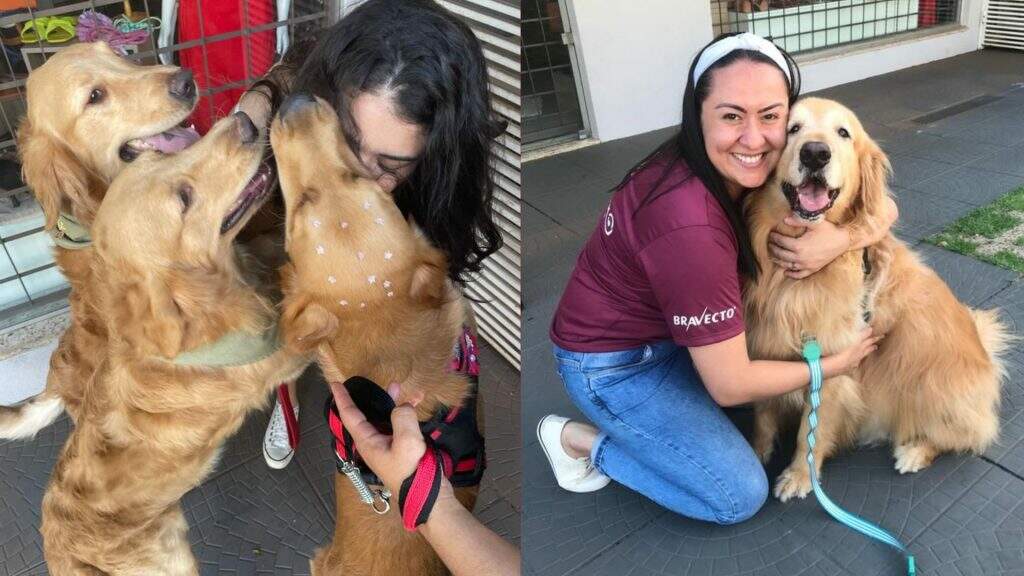 Cães desta raça são apaixonantes, disseram convidados. Foto: Graziela Rezende/Jornal Midiamax