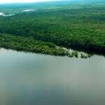 Maioria do Supremo Tribunal Federal vota pela reativação do Fundo Amazônia