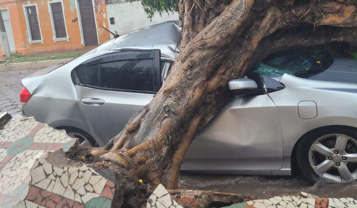 Carros ficam destruídos após árvores caírem durante tempestade em Corumbá