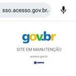 Plataforma Gov.br fica fora do ar e deixa usuários sem acesso a serviços