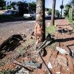 Em zigue-zague, motorista bate em coqueiro e mulher morre em Campo Grande