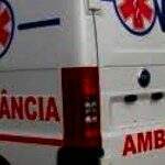 Motorista bate em animal na BR-163 e ao descer de carro morre atropelado por carreta