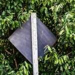 Placa encoberta por árvore não sinaliza quebra-molas que fez motociclista ‘rampar’ e morrer