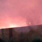 VÍDEO: Criança põe fogo em terreno baldio e incêndio descontrolado assusta moradores 