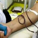 Você sabia? Homens acima dos 29 anos dominam doações de sangue em MS